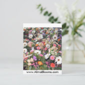 Carte Postale Alma Blooms 1 (Debout devant)