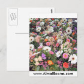 Carte Postale Alma Blooms 1 (Devant / Derrière)