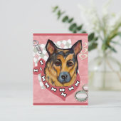 CARTE POSTALE ALMAN SHEPHERD (Debout devant)