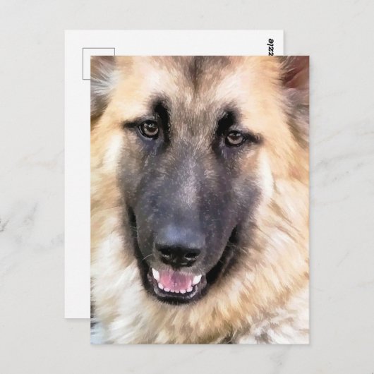 CARTE POSTALE ALMAN SHEPHERD (Devant / Derrière)