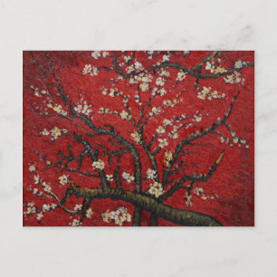 Carte Postale Almond Blossom Vincent Van Gogh