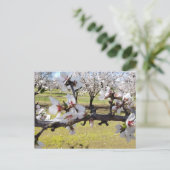 Carte Postale Almond Blossoms (Debout devant)