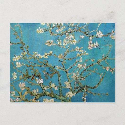 Carte Postale Almond Blossoms Vincent van Gogh (Devant)