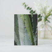 Carte Postale Aloe - Photographie de Macro Fine Art (Debout devant)