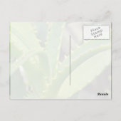 Carte Postale Aloe Vera (Dos)