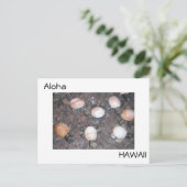 Carte Postale Aloha (Debout devant)