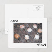 Carte Postale Aloha (Devant / Derrière)