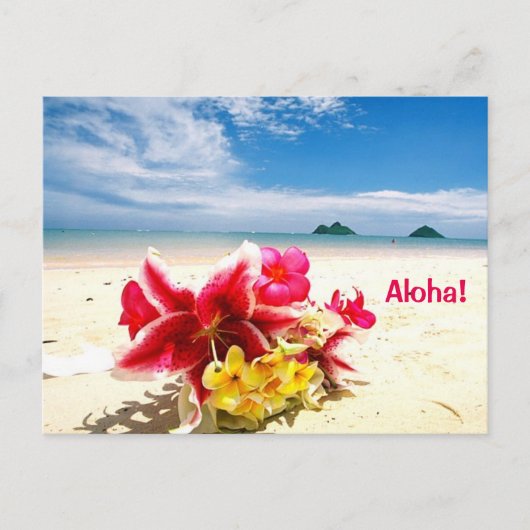 Carte postale Aloha (Devant)
