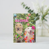 CARTE POSTALE ALOHA ! (Debout devant)