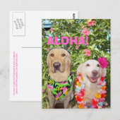 CARTE POSTALE ALOHA ! (Devant / Derrière)