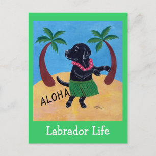 Carte Postale Aloha Black Labrador