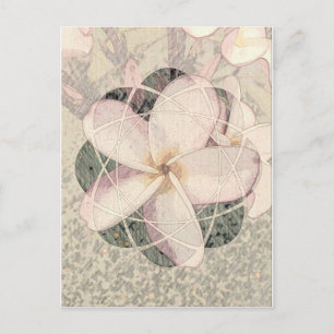 Carte Postale Aloha Blossom