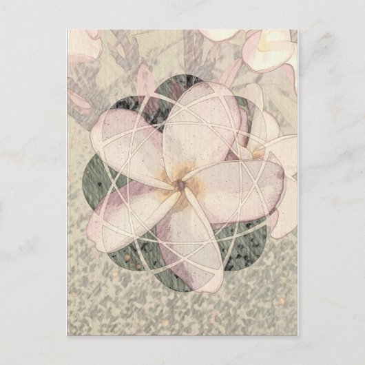 Carte Postale Aloha Blossom (Devant)