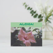Carte Postale ALOHA ! -Carte postales (Debout devant)