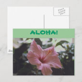 Carte Postale ALOHA ! -Carte postales (Devant / Derrière)