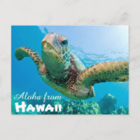 Aloha de Hawaii Honu Green Sea Turtle