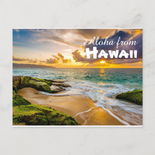 Carte Postale Aloha de Hawaii Postcard