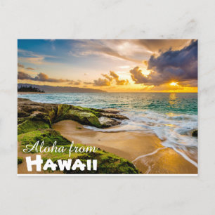 Carte Postale Aloha de Hawaii Postcard