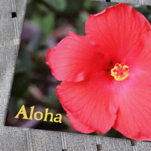Carte Postale Aloha d'Hawaï Vacances hawaïennes               