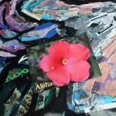 Carte Postale Aloha d'Hawaï Vacances hawaïennes               