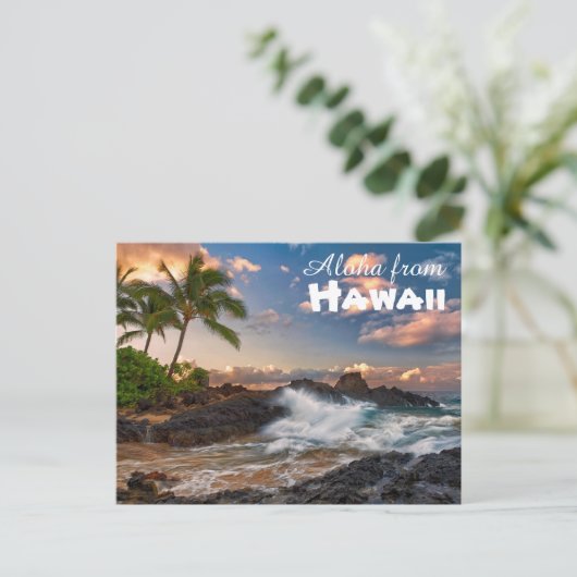 Carte postale Aloha d'Hawaii (Debout devant)