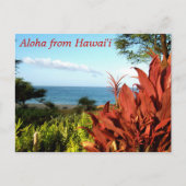 Carte Postale Aloha d'Hawaii (Devant)