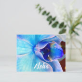 Carte Postale Aloha en bleu (Debout devant)