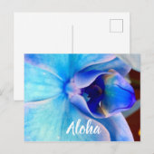 Carte Postale Aloha en bleu (Devant / Derrière)