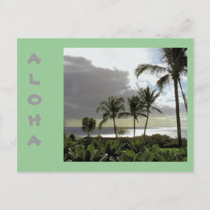 CARTE POSTALE "ALOHA FROM MAUI"