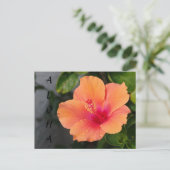 Carte postale ALOHA Hibiscus (Debout devant)