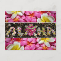 Aloha Honu Turtle Hawaii Plumeria Flower Paradise