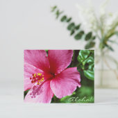 Carte Postale Aloha ! Ketmie rose (Debout devant)