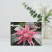 Carte Postale Aloha Salutations Tropical Bromeliad (Debout devant)