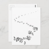 Carte Postale Alors Nous Allons Danser Des Lapins (Devant / Derrière)