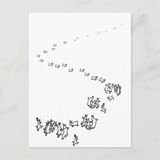 Carte Postale Alors Nous Allons Danser Des Lapins (Devant)