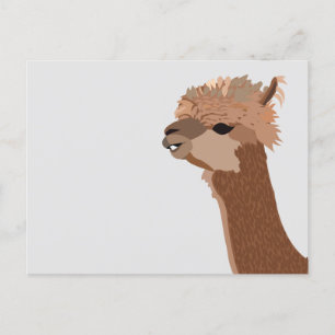 Carte Postale Alpaca Animal Mignon