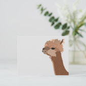Carte Postale Alpaca Animal Mignon (Debout devant)