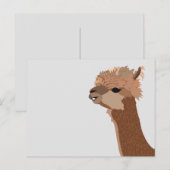 Carte Postale Alpaca Animal Mignon (Devant / Derrière)