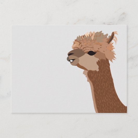 Carte Postale Alpaca Animal Mignon (Devant)