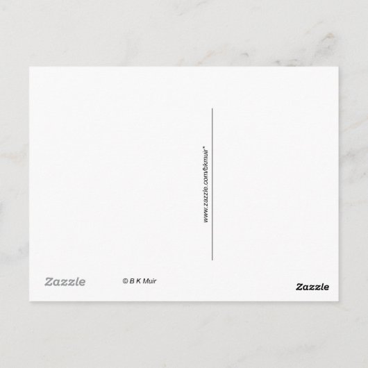 Carte postale - Alpaca blanc (Dos)