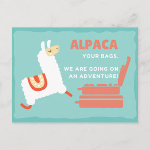 Carte Postale Alpaca Blanc Drôle Voyage