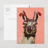 Carte postale ALPACA ROSE (Devant / Derrière)
