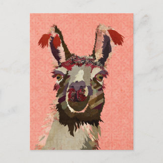 Carte postale ALPACA ROSE