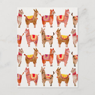 Carte Postale Alpacas