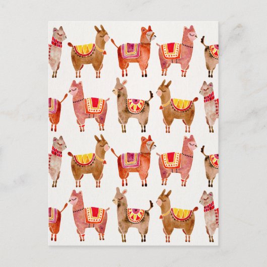 Carte Postale Alpacas (Devant)
