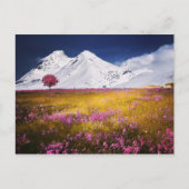 Carte postale Alpes neigeuses (Devant)