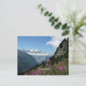 Carte Postale Alpes - Suisse (Debout devant)