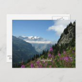 Carte Postale Alpes - Suisse (Devant / Derrière)