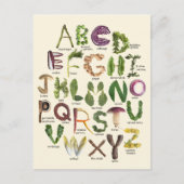 Carte Postale Alphabet alimentaire (Devant)