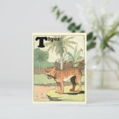 Carte Postale Alphabet Animalier du Tigre de la Jungle (Debout devant)